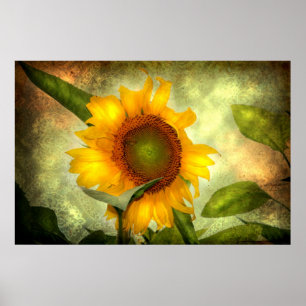 Affiches Gloire (affiche de tournesol)