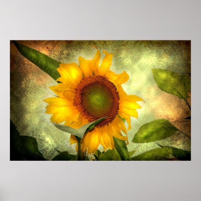 Affiches Gloire (affiche de tournesol) (Devant)
