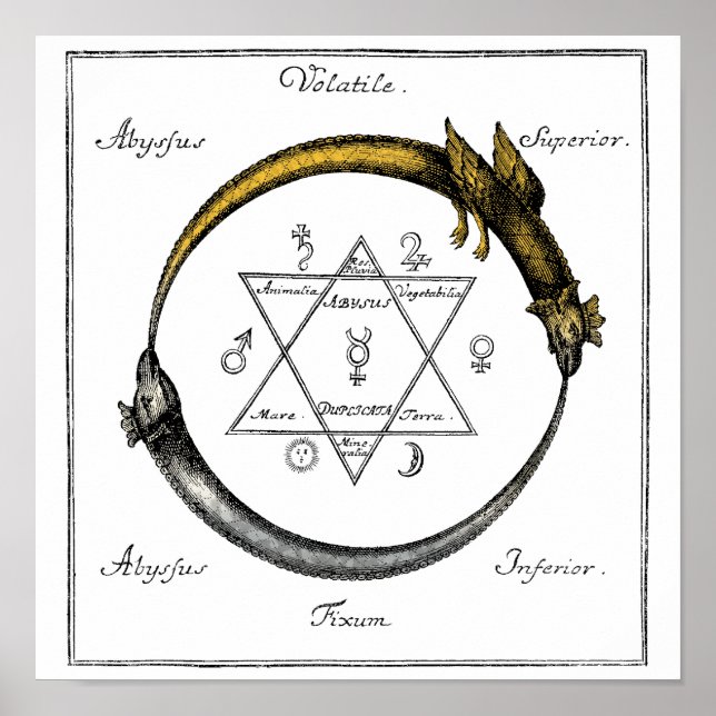 Affiches Gold & Silver Ouroboros Symbol (Devant)