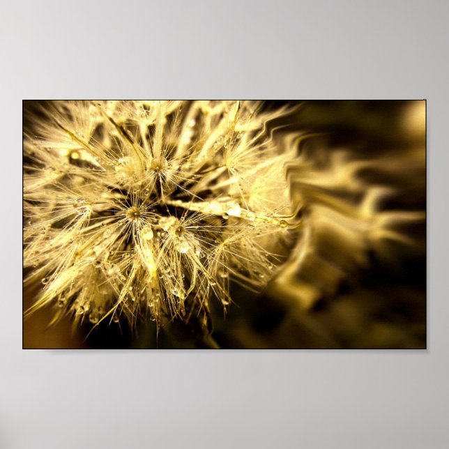 Affiches Golden Dandy Dreams (Devant)