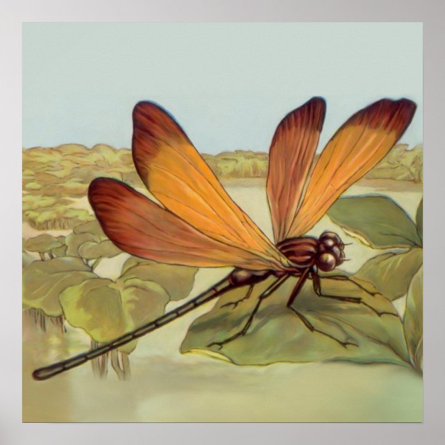 Affiches Golden Dragonfly (Devant)