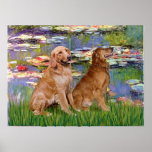 Affiches Golden Retriever (deux) - Lys 2