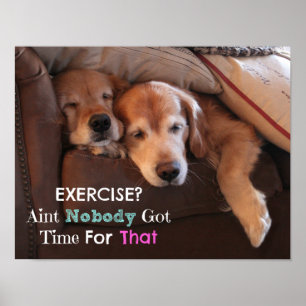 Affiches Golden Retriever Exercice Démotivationnel