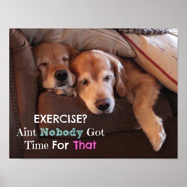 Affiches Golden Retriever Exercice Démotivationnel (Devant)