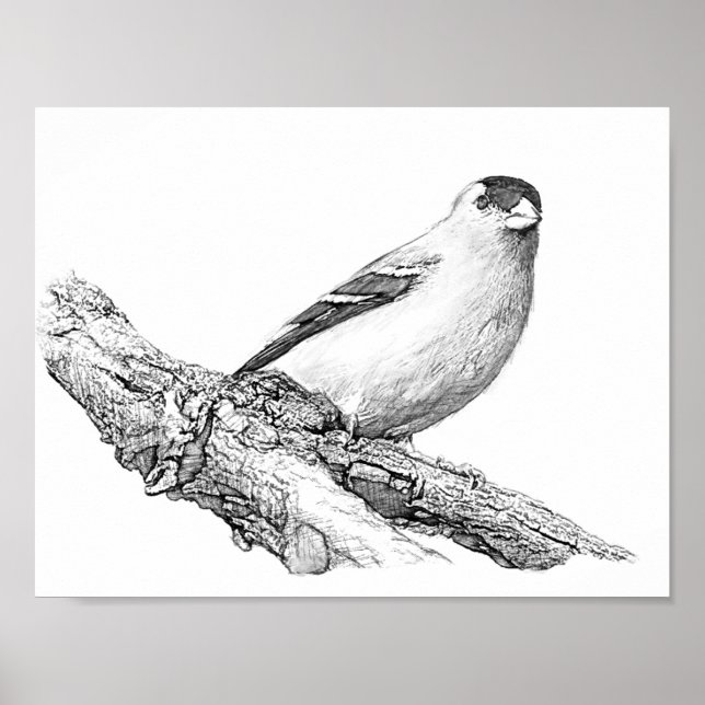 Affiches Goldfinch (Devant)