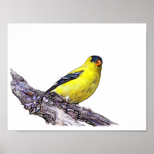 Affiches Goldfinch (Devant)