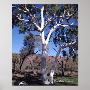 Affiches Gomme fantôme en Alice