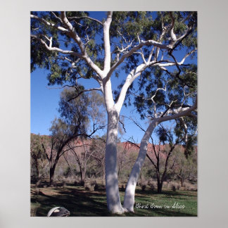 Affiches Gomme fantôme en Alice