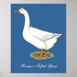 Affiches Goose Roman Tufted