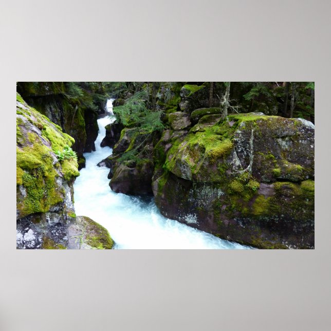 Affiches Gorge d'Avalanche I dans le parc national de Glaci (Devant)