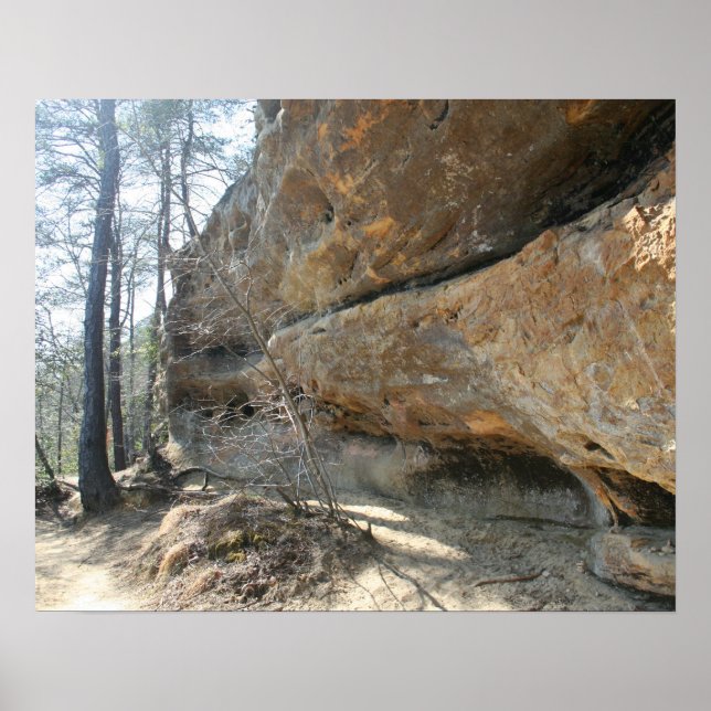 Affiches Gorge de la rivière Rouge, KY - Skybridge 2 affich (Devant)