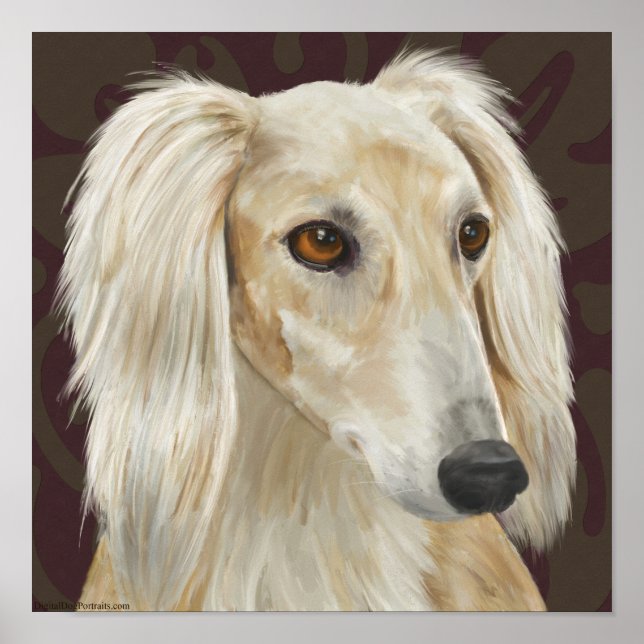 Affiches Gorgeous Light Fur Saluki Dog on Brown Background (Devant)