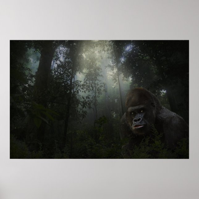 Affiches Gorilla (Devant)