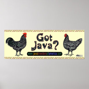 Affiches Got Java?