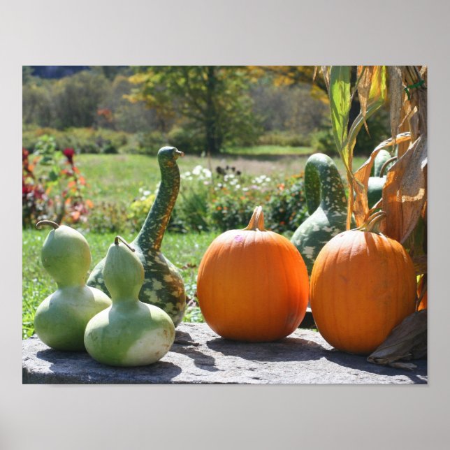 Affiches Gourmets Et Ferme Citrouille Stand 2 Automne (Devant)
