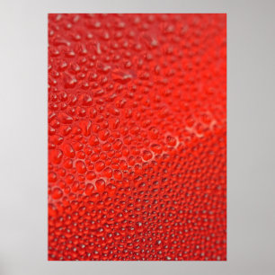 Affiches Gouttes de rosée matinale