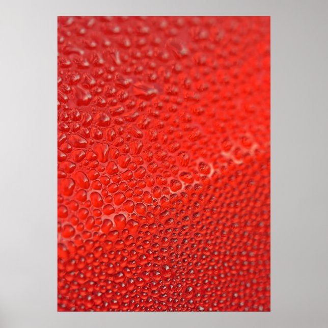 Affiches Gouttes de rosée matinale (Devant)