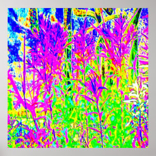 Affiches Graffiti n Plants : Humber River Bridge Toronto