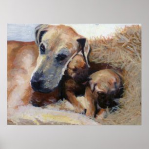 Affiches Grand Dane Portrait de chien