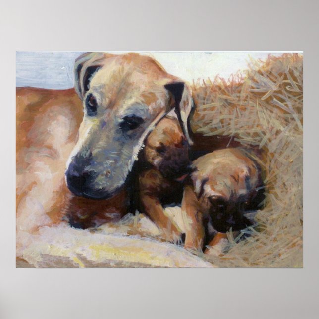 Affiches Grand Dane Portrait de chien (Devant)