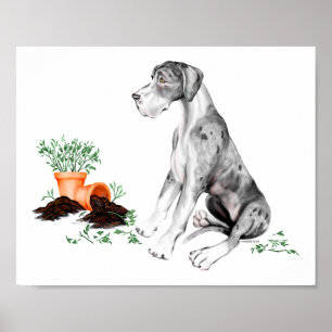 Affiches Grand Danois Naughty Pup MerleB UC