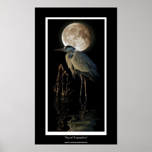 Affiches GRAND HERON BLEU, REEDS & MOON Art Imprimer