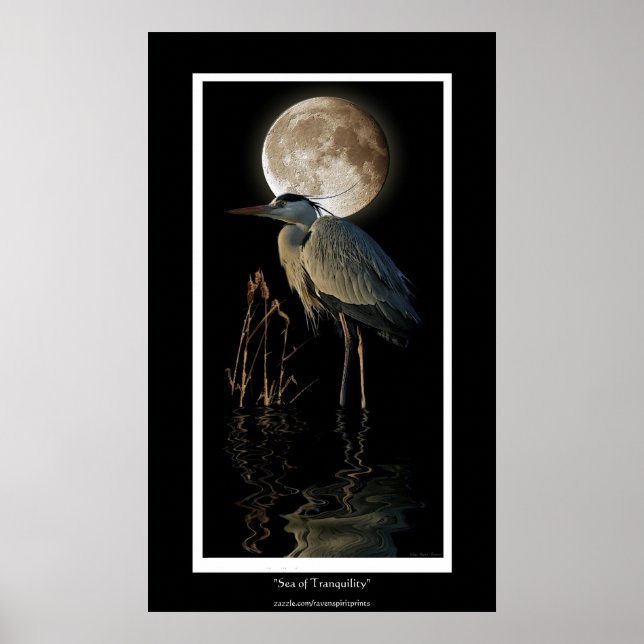 Affiches GRAND HERON BLEU, REEDS & MOON Art Imprimer (Devant)