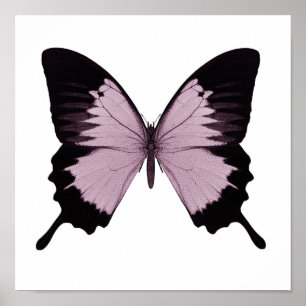 Affiches Grand papillon rose et noir - Personnalisez