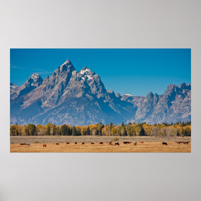 Affiches Grand Teton (Devant)