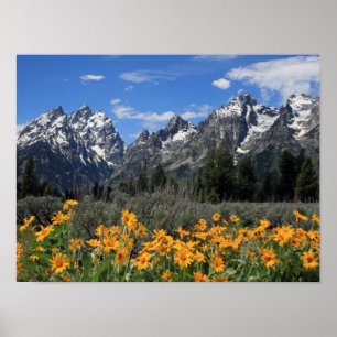 Affiches Grand Teton National Park