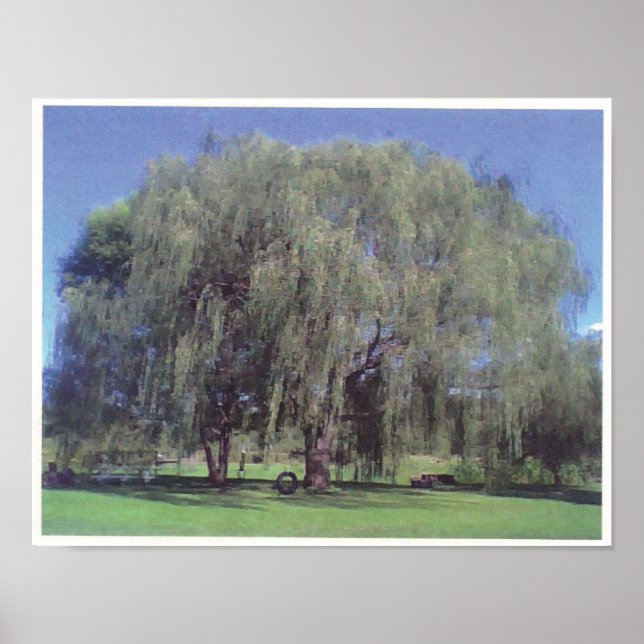 Affiches Grand Willow Tree (Devant)
