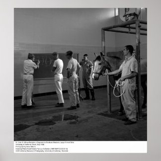 Affiches Grande clinique animale, UC Davis, 1966