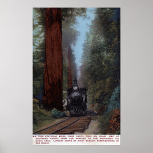 Affiches Grande gare d'arbre