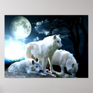 Affiches Grande Lune de loup