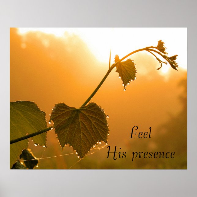 Affiches Grapevine & Débordements à Sunrise-Inspirational (Devant)