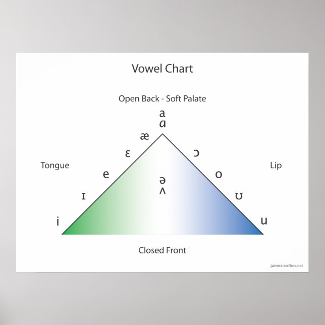Affiches Graphique de voyelles IPA (Devant)