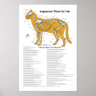 Affiches Graphique des points d'acupuncture d'acupuncture d
