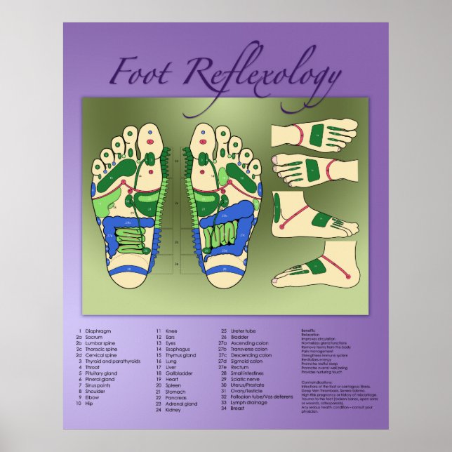 Affiches Graphique Réflexologie du pied (Devant)