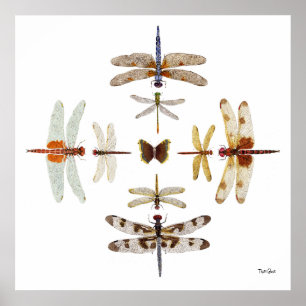 Affiches Graphiques à bulles de libellules