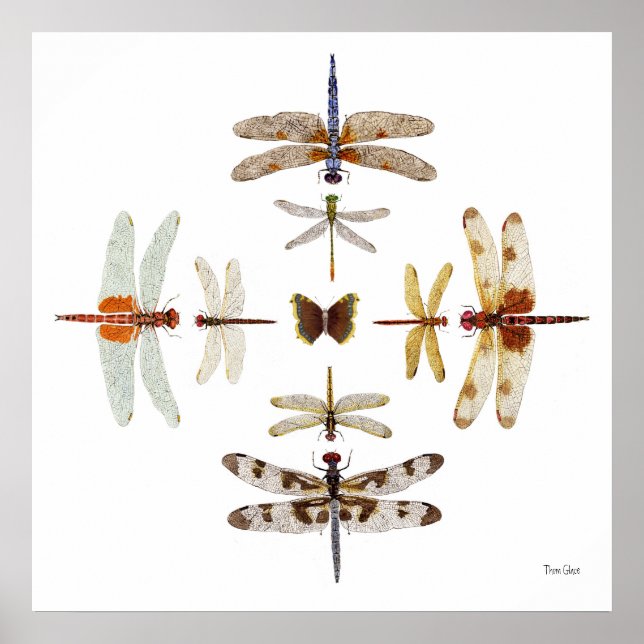 Affiches Graphiques à bulles de libellules (Devant)