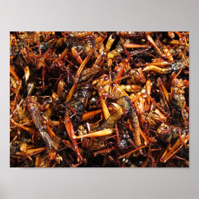 Affiches Grasshopper frit (Takkataen Thot) Alimentation asi (Devant)