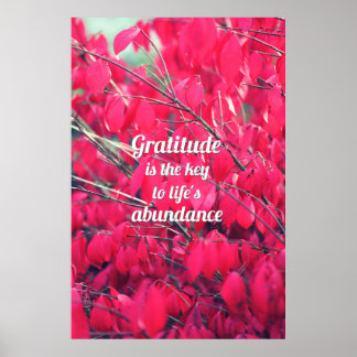 Affiches Gratitude
