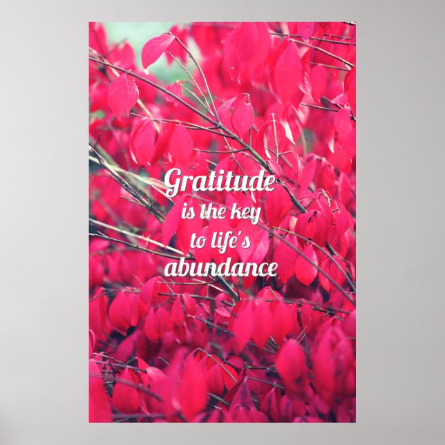 Affiches Gratitude (Devant)