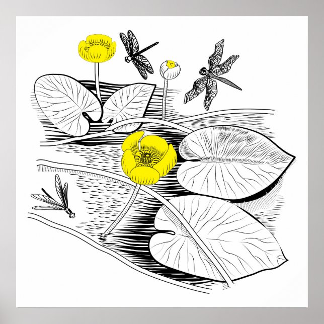 Affiches Gravure de nénuphars (Devant)