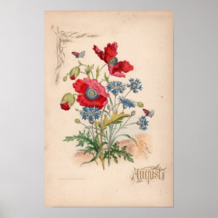 Affiches Gravures botaniques, août