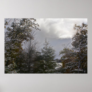 Affiches Gray Day Beauté