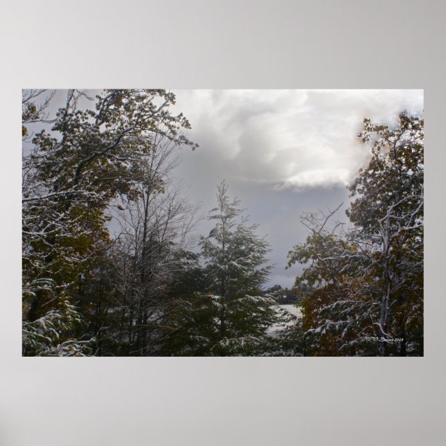 Affiches Gray Day Beauté (Devant)