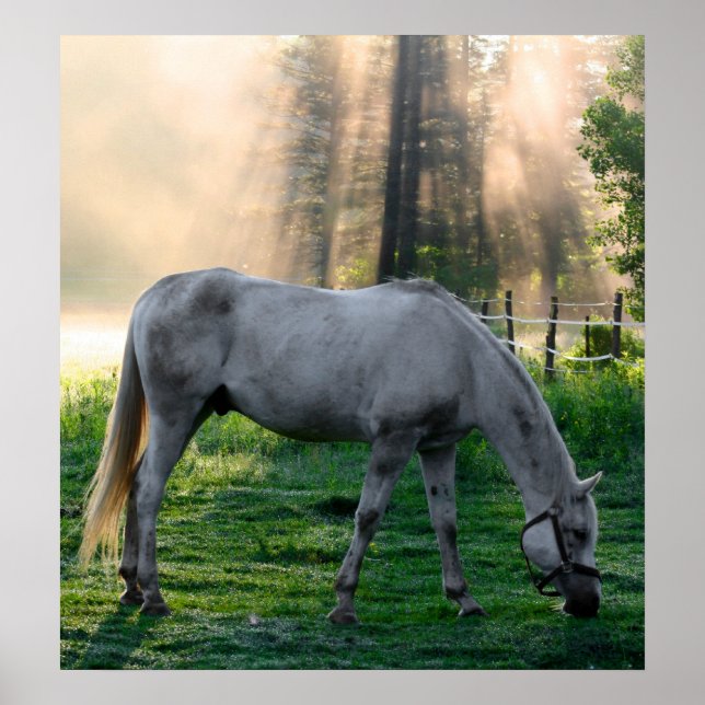 Affiches Graze Extraordinaire (Devant)