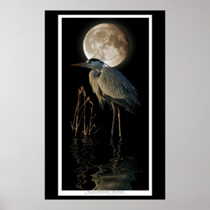 Affiches Great Blue Heron, Reeds & Moon Nature Art Imprimer