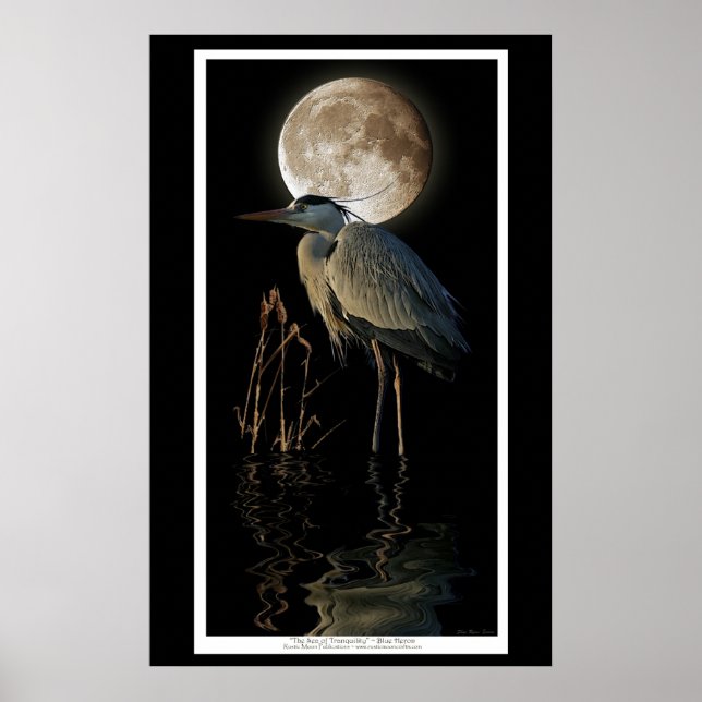 Affiches Great Blue Heron, Reeds & Moon Nature Art Imprimer (Devant)